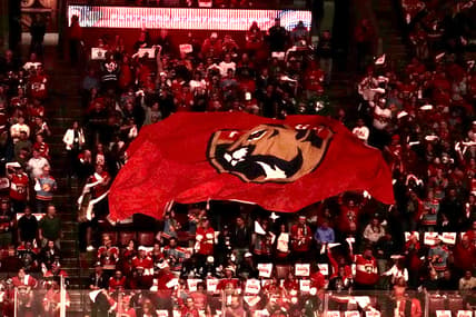 Florida panthers