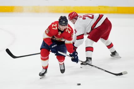 Panthers barkov