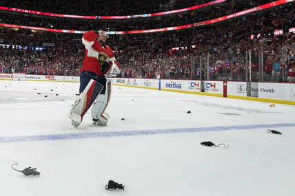 Sergei bobrovsky