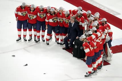 Florida panthers