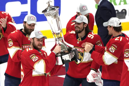 Florida panthers
