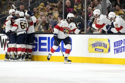 Anthony duclair