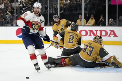 Florida panthers
