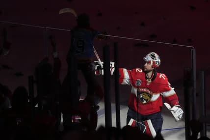 Bobrovsky