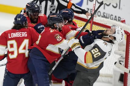 Florida panthers