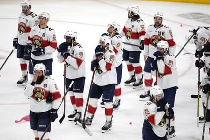 Florida panthers