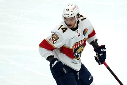 Florida panthers