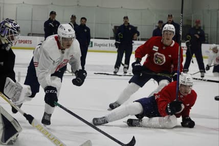Florida Panthers