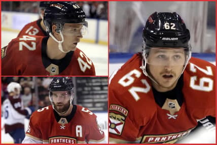 Panthers defensemen