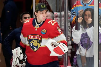 Florida panthers