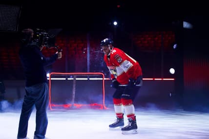 Florida panthers
