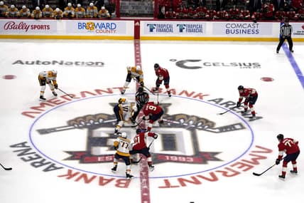 Florida panthers