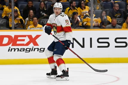 Florida panthers