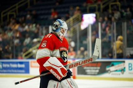 Florida panthers