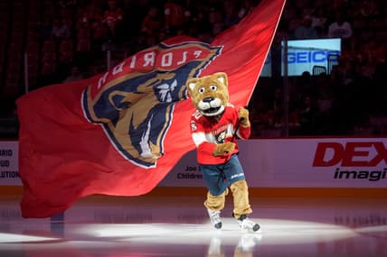 Florida panthers