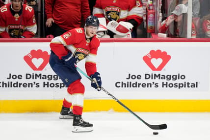 Florida panthers