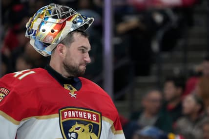 Stolarz panthers