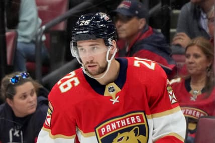 Florida panthers