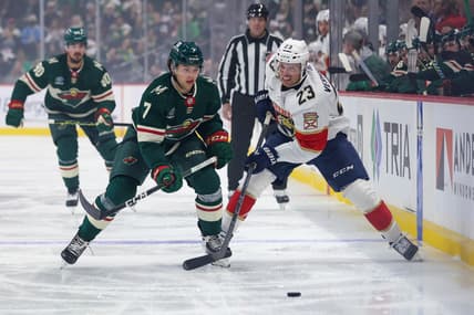 Florida panthers