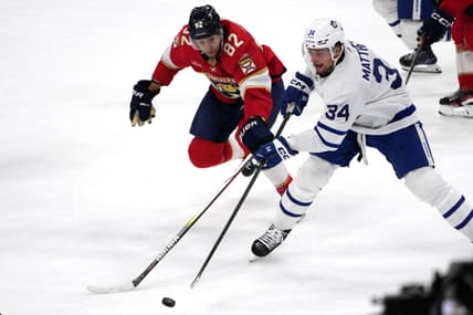 Florida panthers