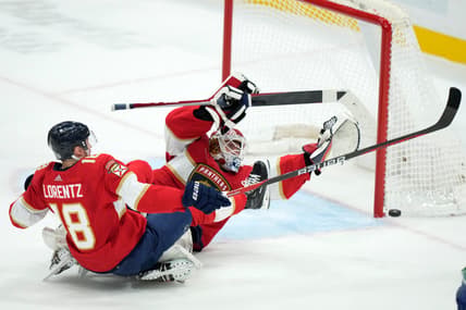 Florida panthers