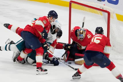 Florida panthers