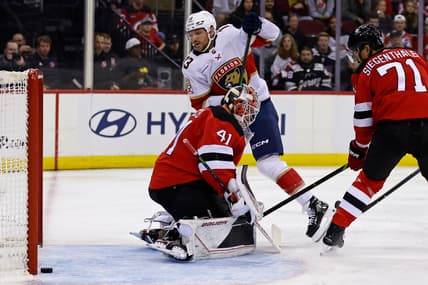 Florida panthers