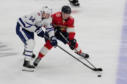 Florida panthers