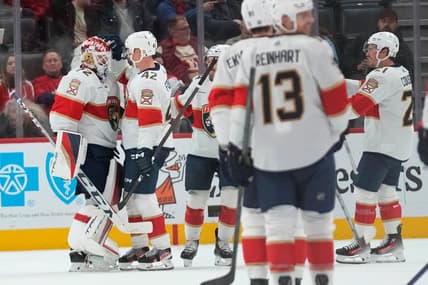 Florida panthers