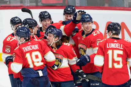 Florida panthers