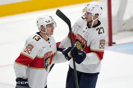 Florida panthers