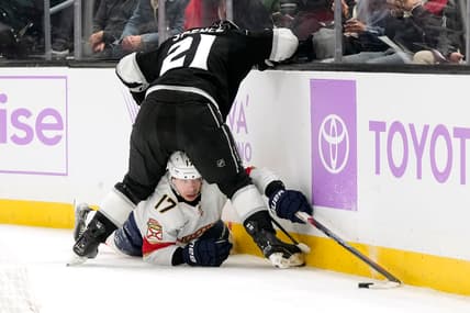 Florida panthers