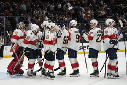 Florida panthers