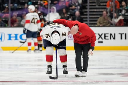 Barkov panthers