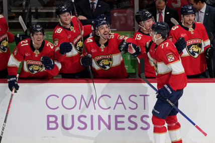 Florida panthers