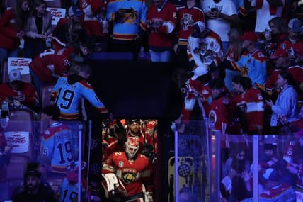 Florida panthers