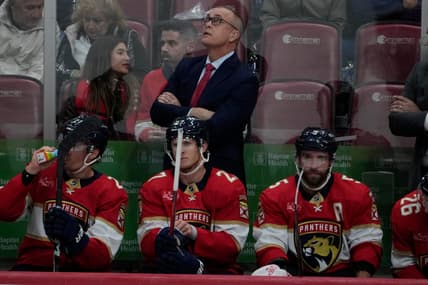 Florida panthers
