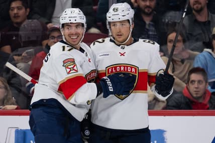 Florida panthers