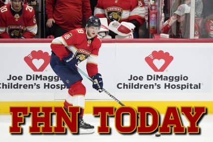 Florida panthers