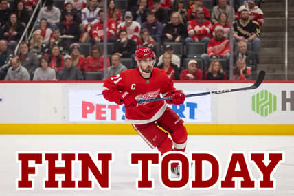 Wings bruins