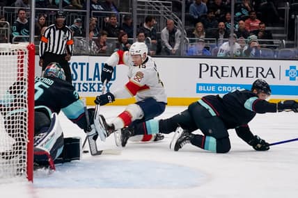 Florida panthers