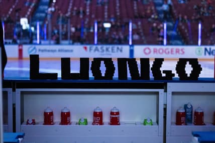 Florida panthers