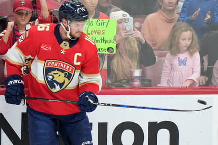 Barkov panthers