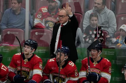 Florida panthers