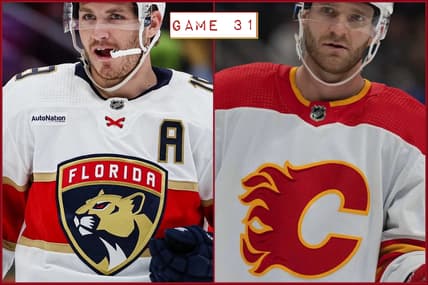 Panthers flames