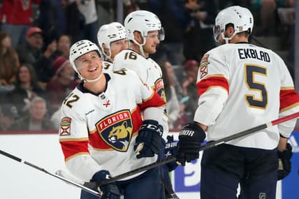 Florida panthers