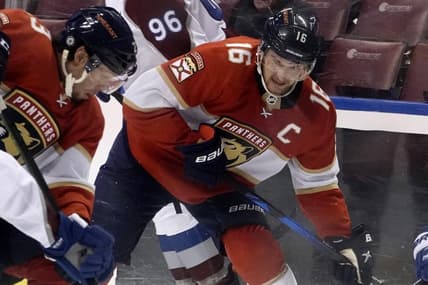 Barkov panthers