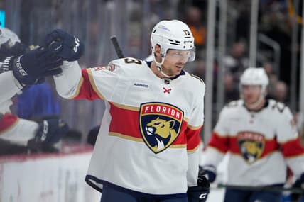 Florida panthers