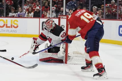Florida panthers
