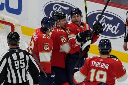 Florida panthers
